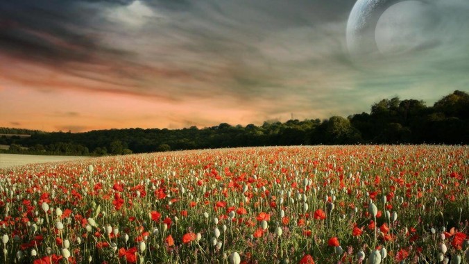 为什么感觉wps的用户越来越多，office没人用了?